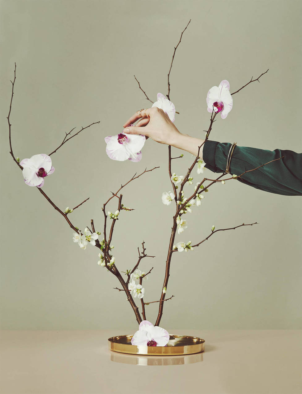 medium_ED_CH_v2.44_BEYOND_THE_BOUQUET_branch_blossoms_hand