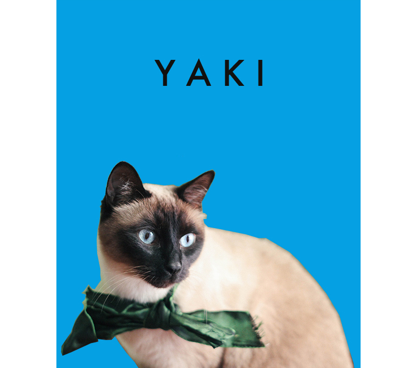 yaki-cover