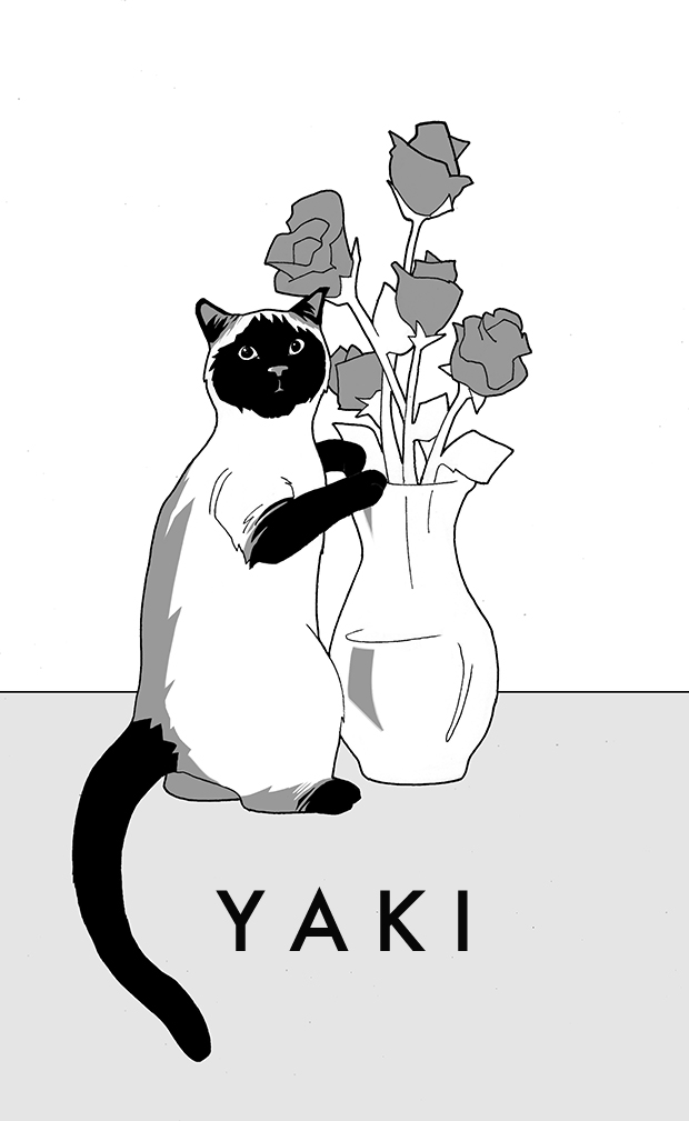 yaki-illustration